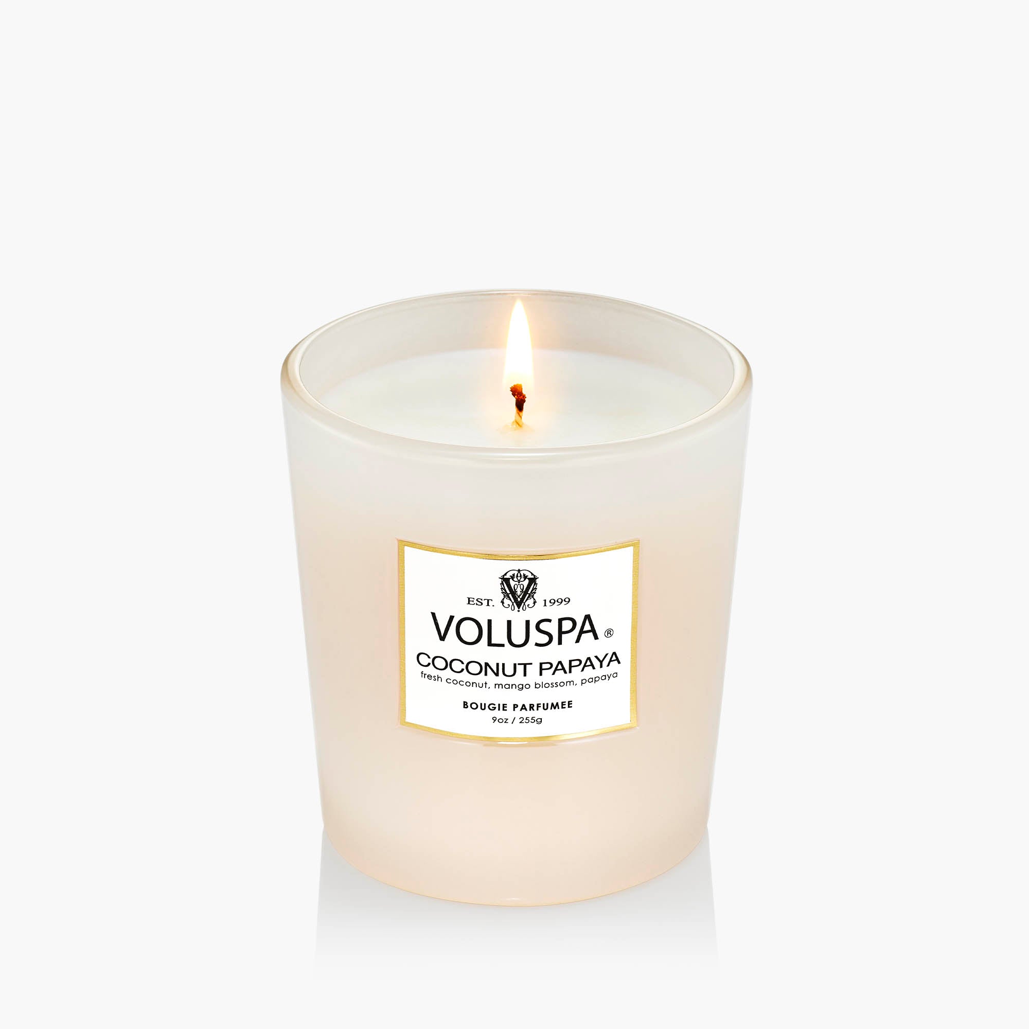 Coconut Papaya - Classic Candle - Image 3
