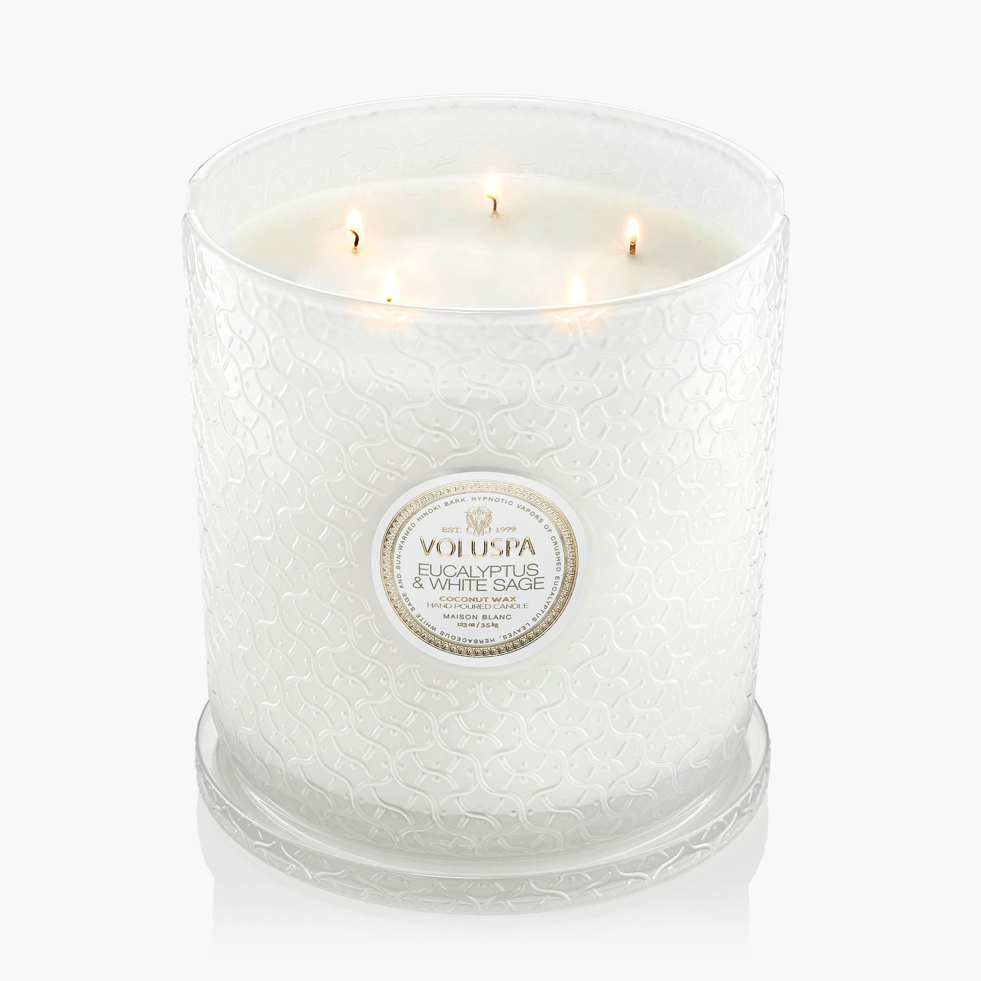 Eucalyptus & White Sage - 5 Wick Hearth Candle - Image 4
