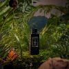 Temple Moss - Ultrasonic Diffuser Fragrance Oil - Image 3