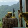 Temple Moss - Luxe Reed Diffuser - Image 3