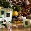 White Cypress - Classic Candle - Image 2