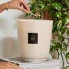 Santal Vanille - 5 Wick Hearth Candle - Image 2