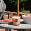Kalahari Watermelon - 3 Wick Hearth Candle - Image 2