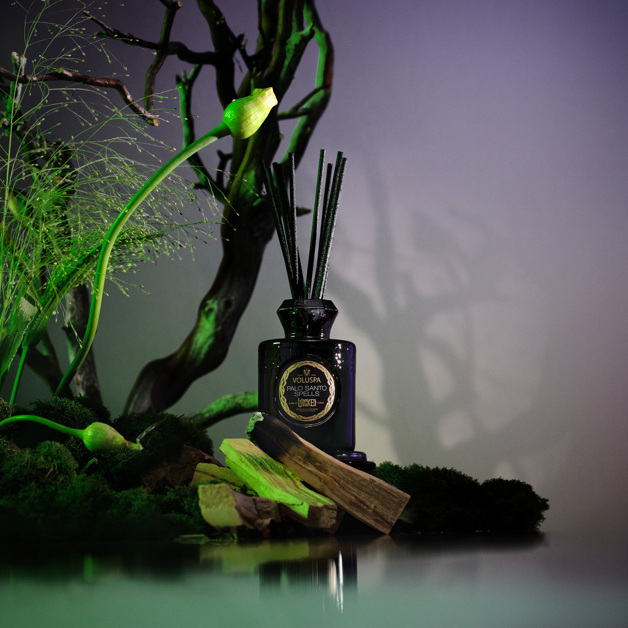 Alternative view of Palo Santo Spells - Reed Diffuser
