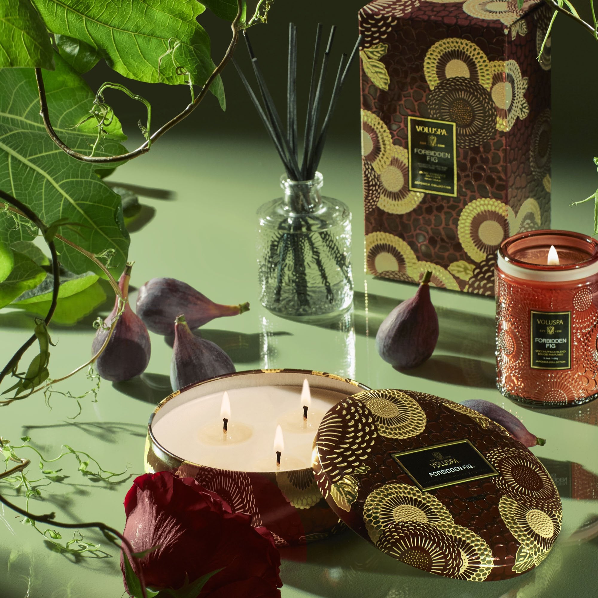 Forbidden Fig - 3 Wick Tin Candle - Image 3