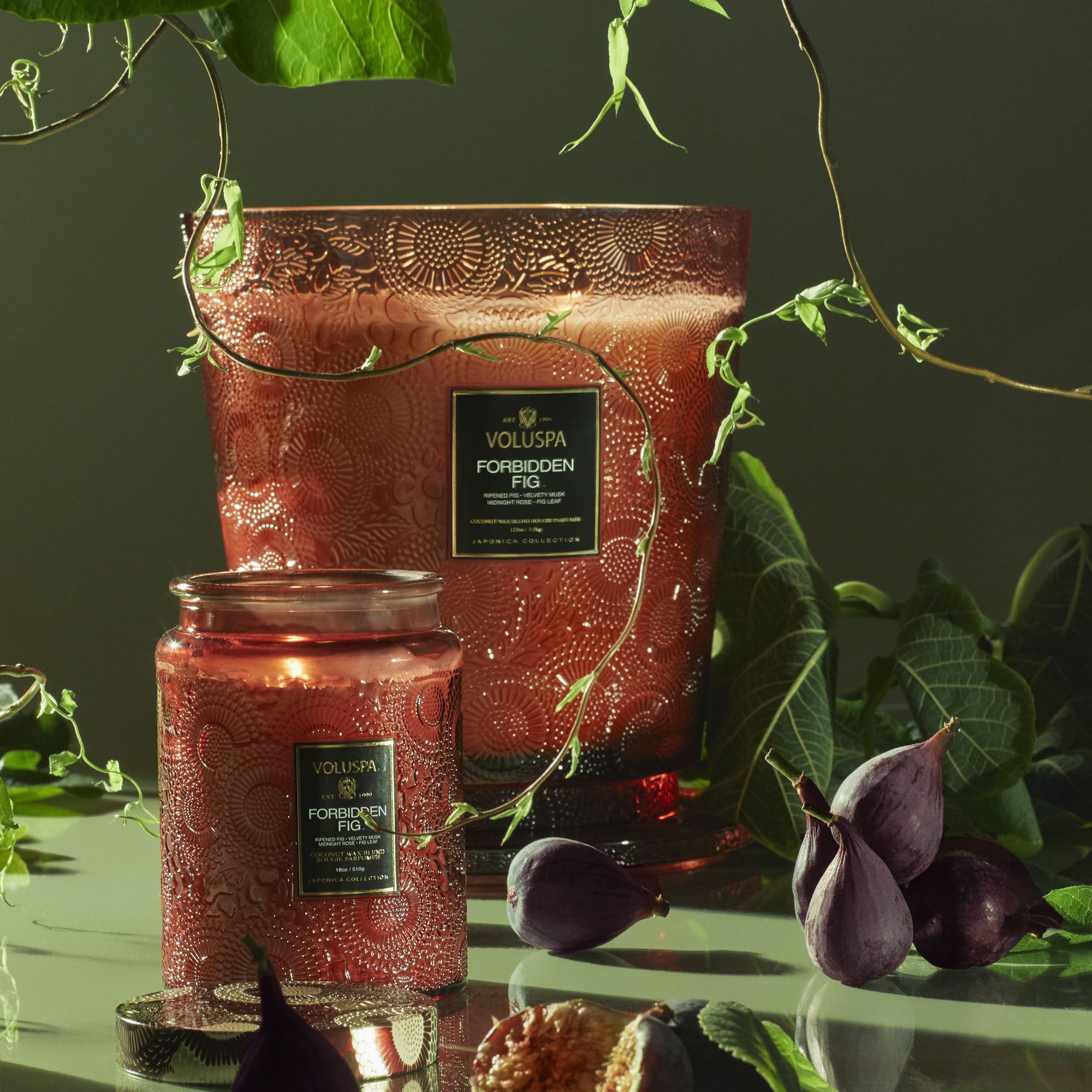 Alternative view of Forbidden Fig - 5 Wick Hearth Candle
