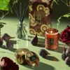 Forbidden Fig - Small Jar Candle - Image 3