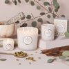 Eucalyptus & White Sage - Petite Jar Candle - Image 5