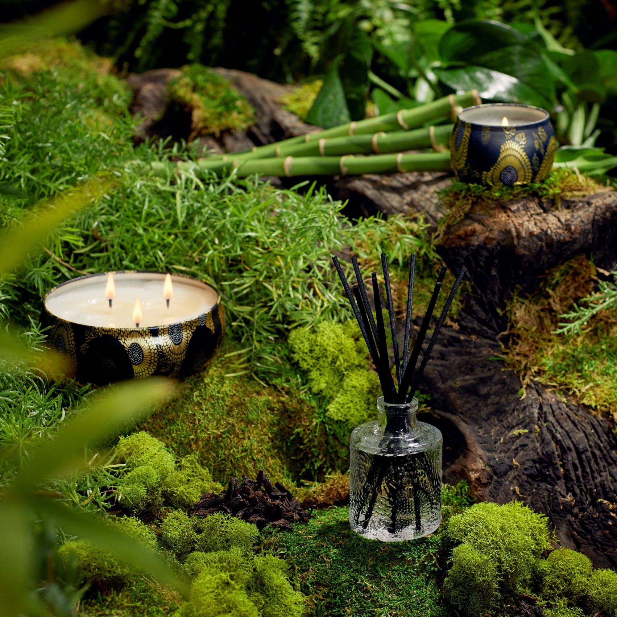 Alternative view of Moso Bamboo - Mini Tin Candle