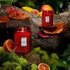 Goji Tarocco Orange - Small Jar Candle - Image 3