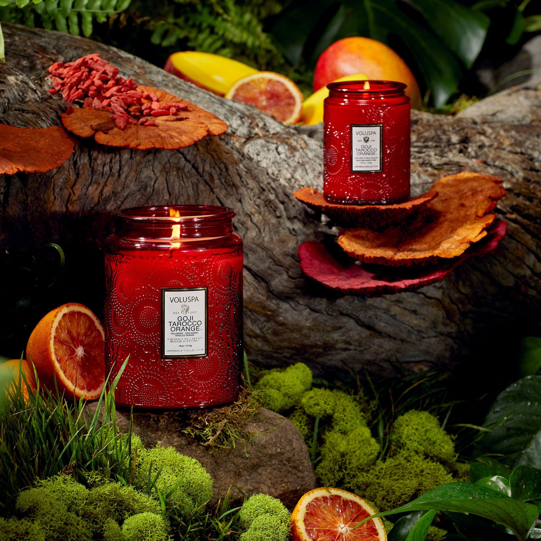 Goji Tarocco Orange - Small Jar Candle - Image 3