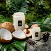Tahitian Coconut Vanilla - Small Jar Candle - Image 3