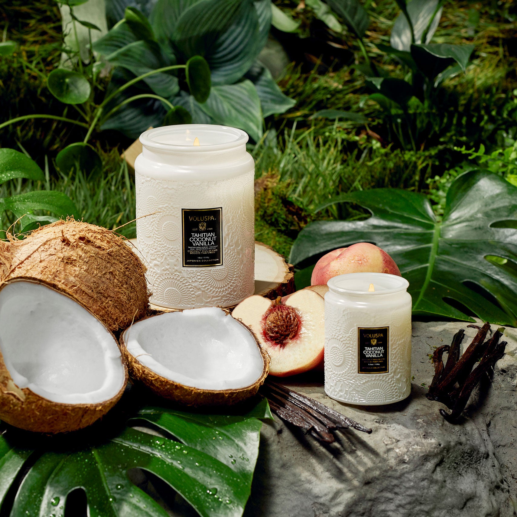 Tahitian Coconut Vanilla - Small Jar Candle - Image 3