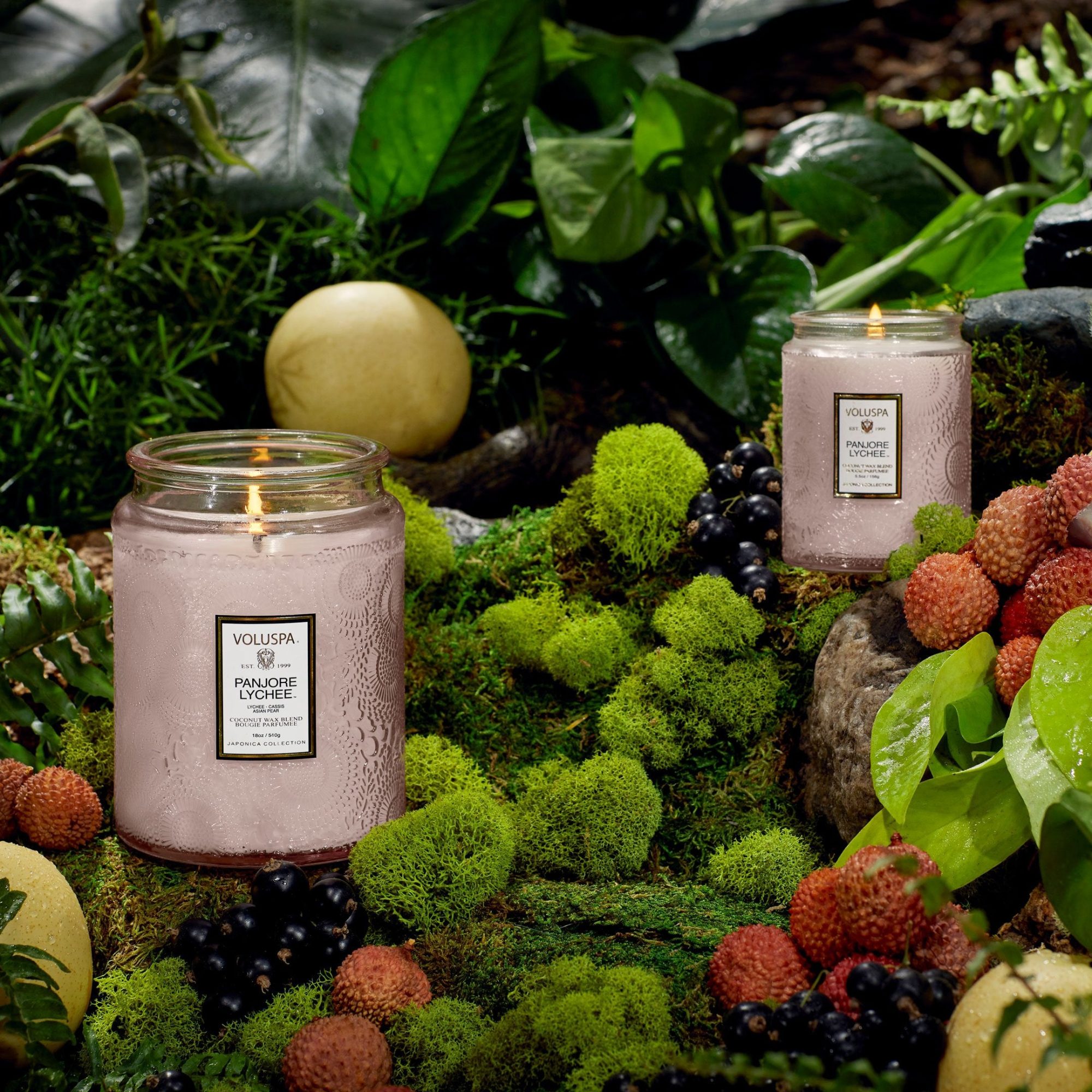 Alternative view of Panjore Lychee - Large Jar Candle