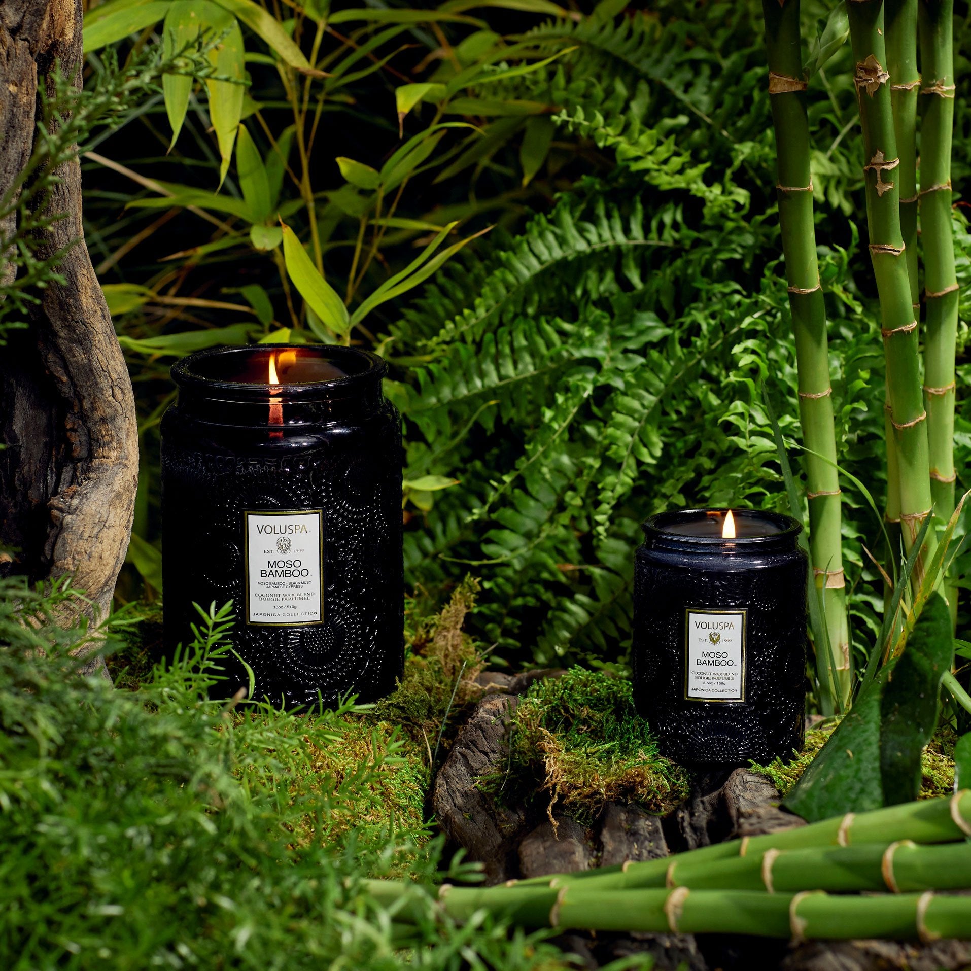 Alternative view of Moso Bamboo - Large Jar Candle