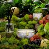 Panjore Lychee - Mini Tin Candle - Image 2