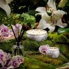 Mokara - Mini Tin Candle - Image 2