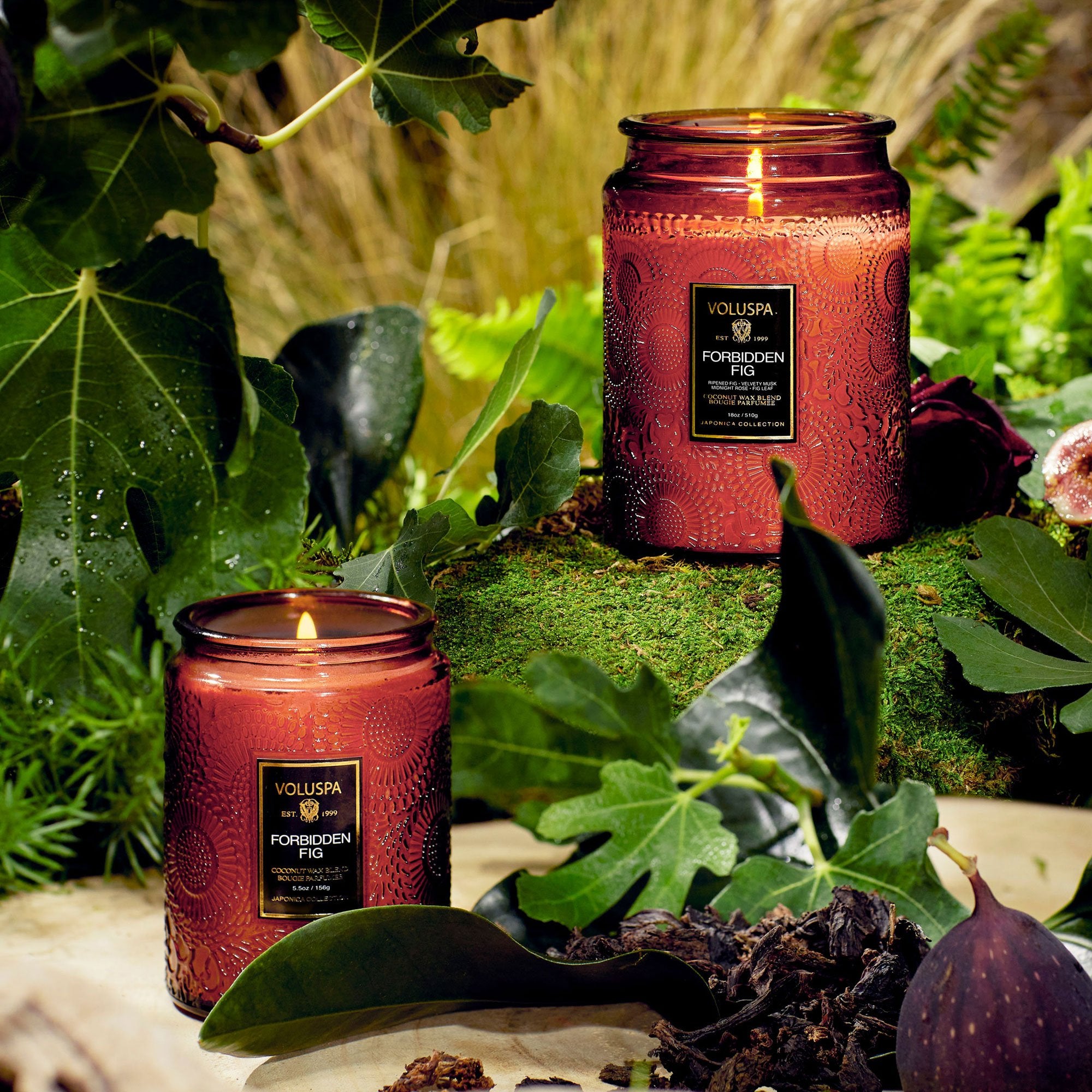 Forbidden Fig - Large Jar Candle - Image 5