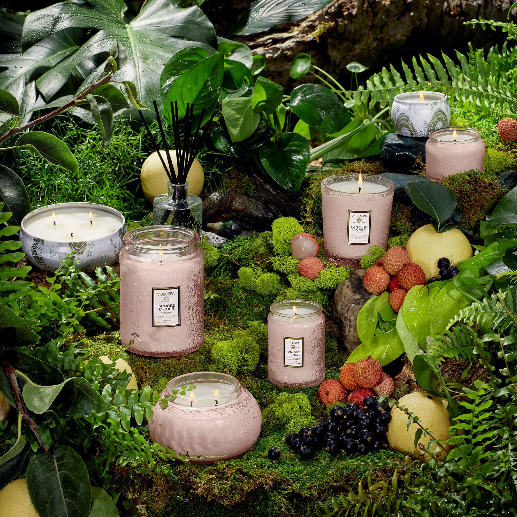 Panjore Lychee - 5 Wick Hearth Candle - Image 2