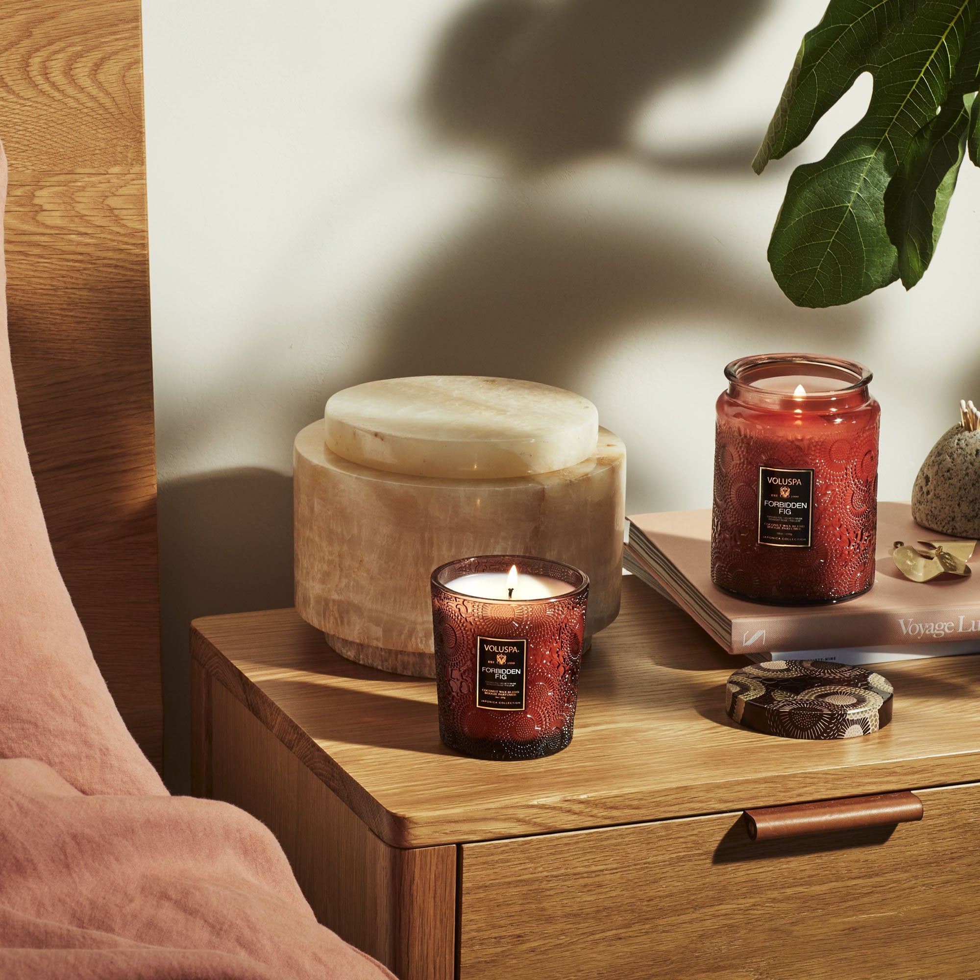 Forbidden Fig - Classic Candle - Image 4