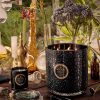 Jardin De Verveine - 5 Wick Hearth Candle - Image 2