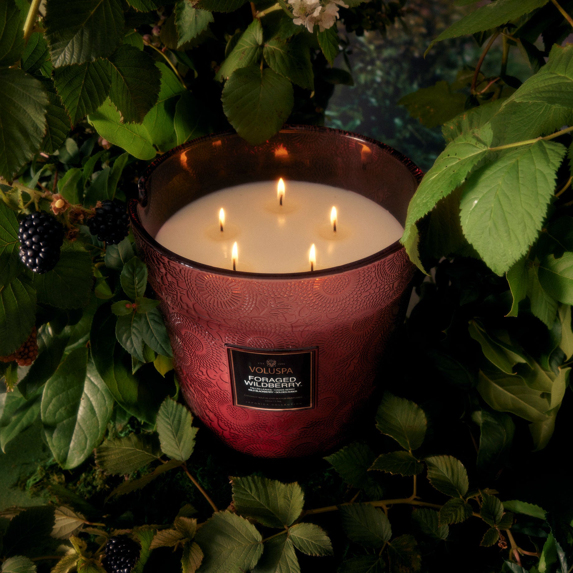 Alternative view of Foraged Wildberry - 5 Wick Hearth Candle