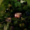Foraged Wildberry - Mini Tin Candle - Image 2