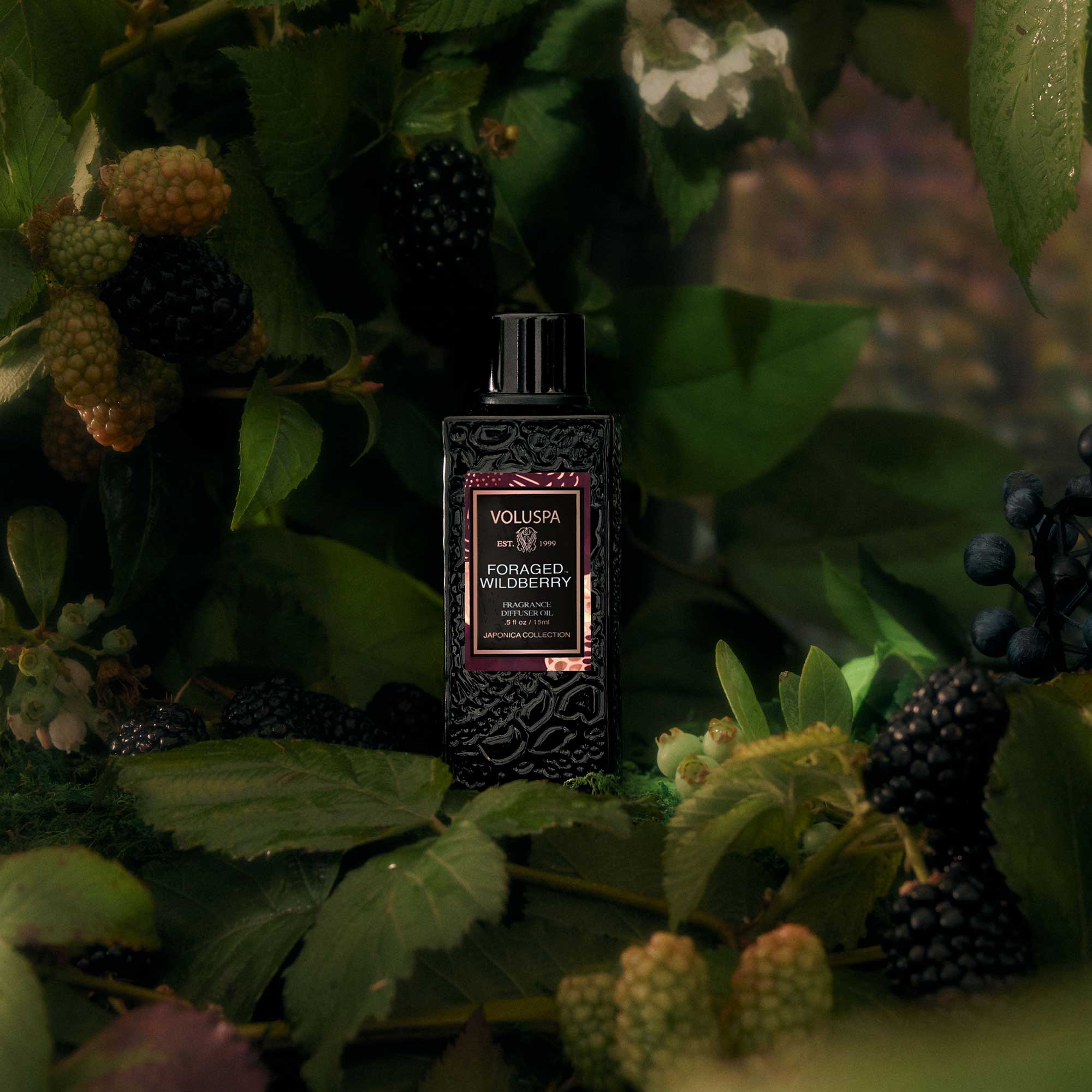 Alternative view of Foraged Wildberry - Ultrasonic Diffuser Fragrance Oil