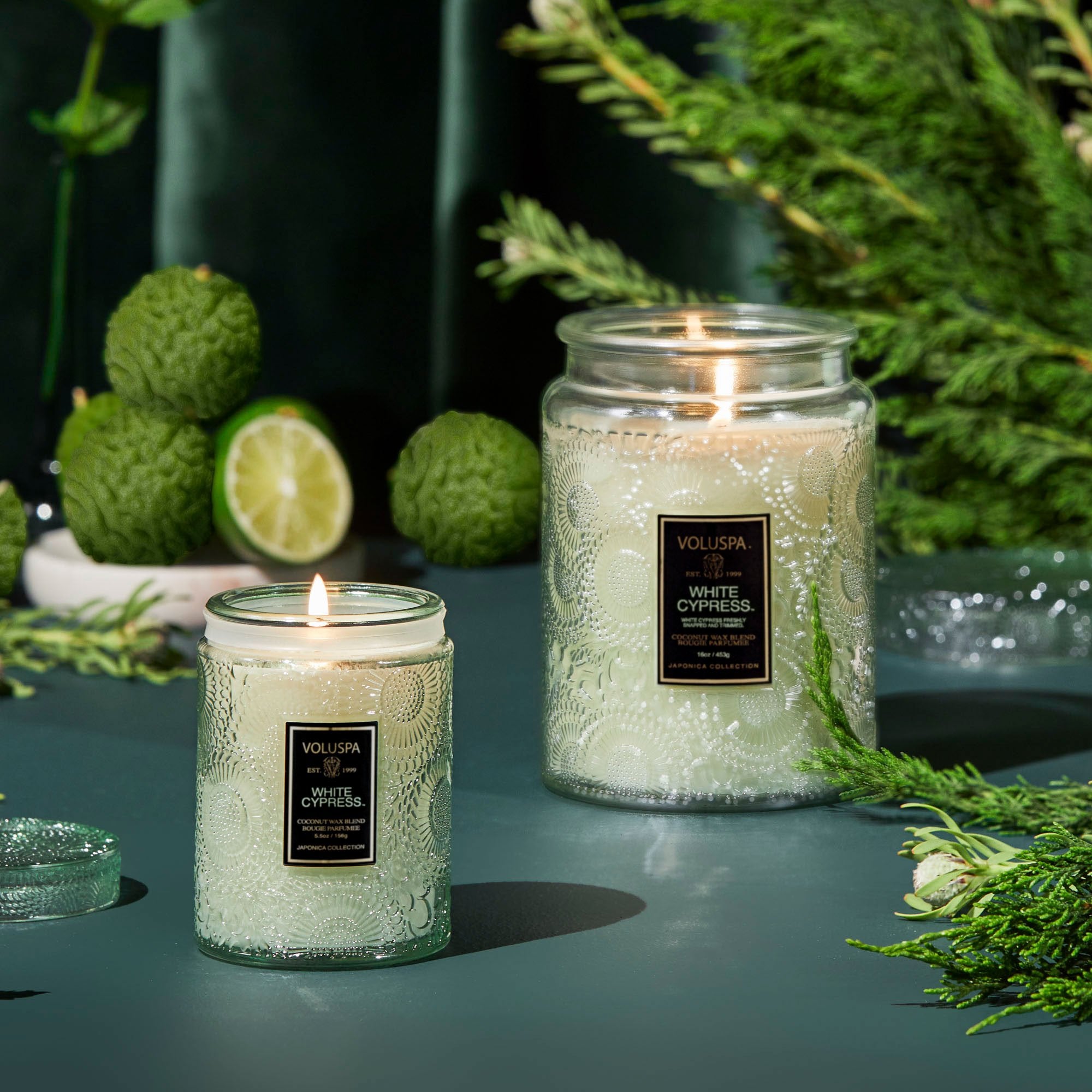 Alternative view of White Cypress - Large Jar Candle