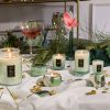 White Cypress - Small Jar Candle - Image 3