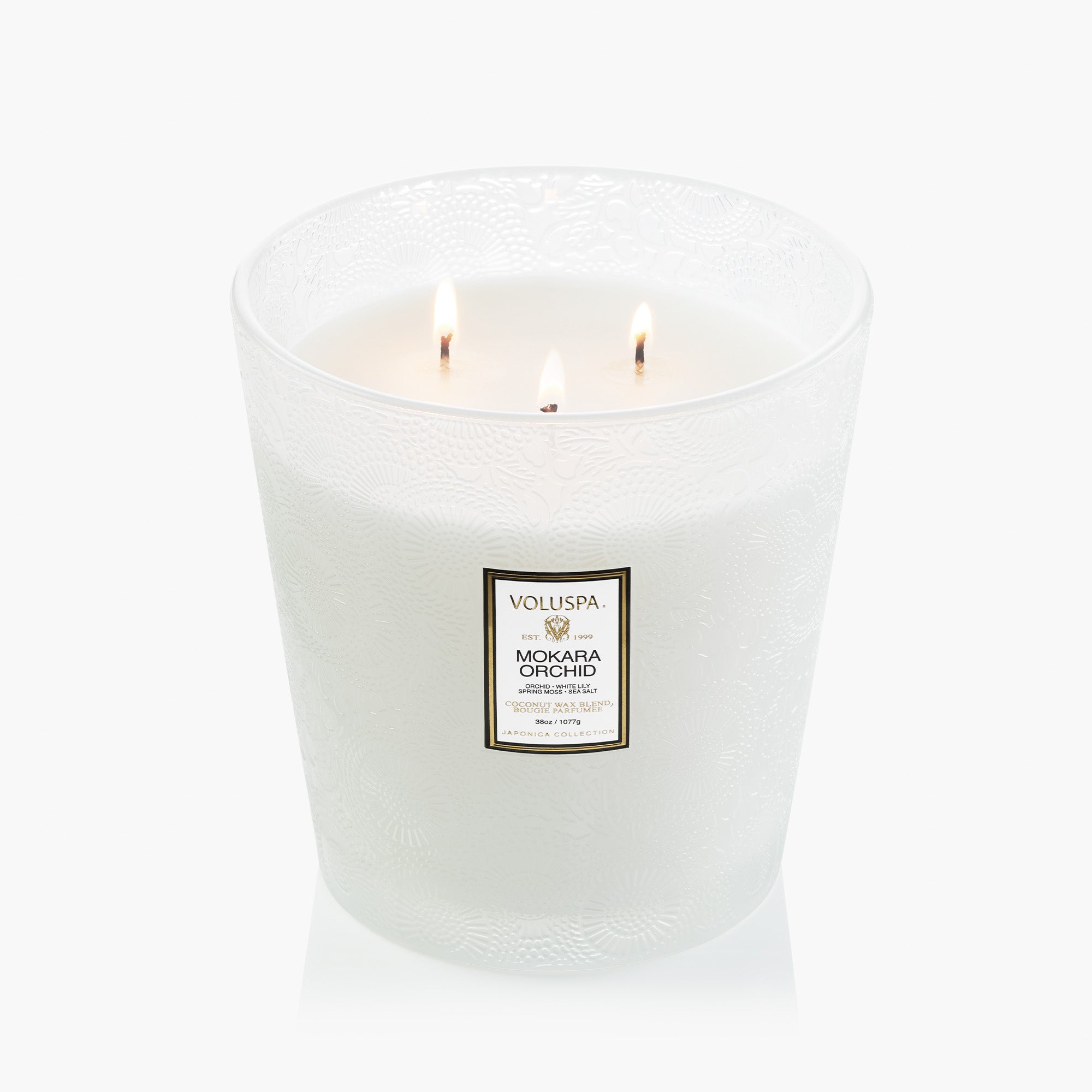 Mokara Orchid - 3 Wick Hearth Candle - Image 3