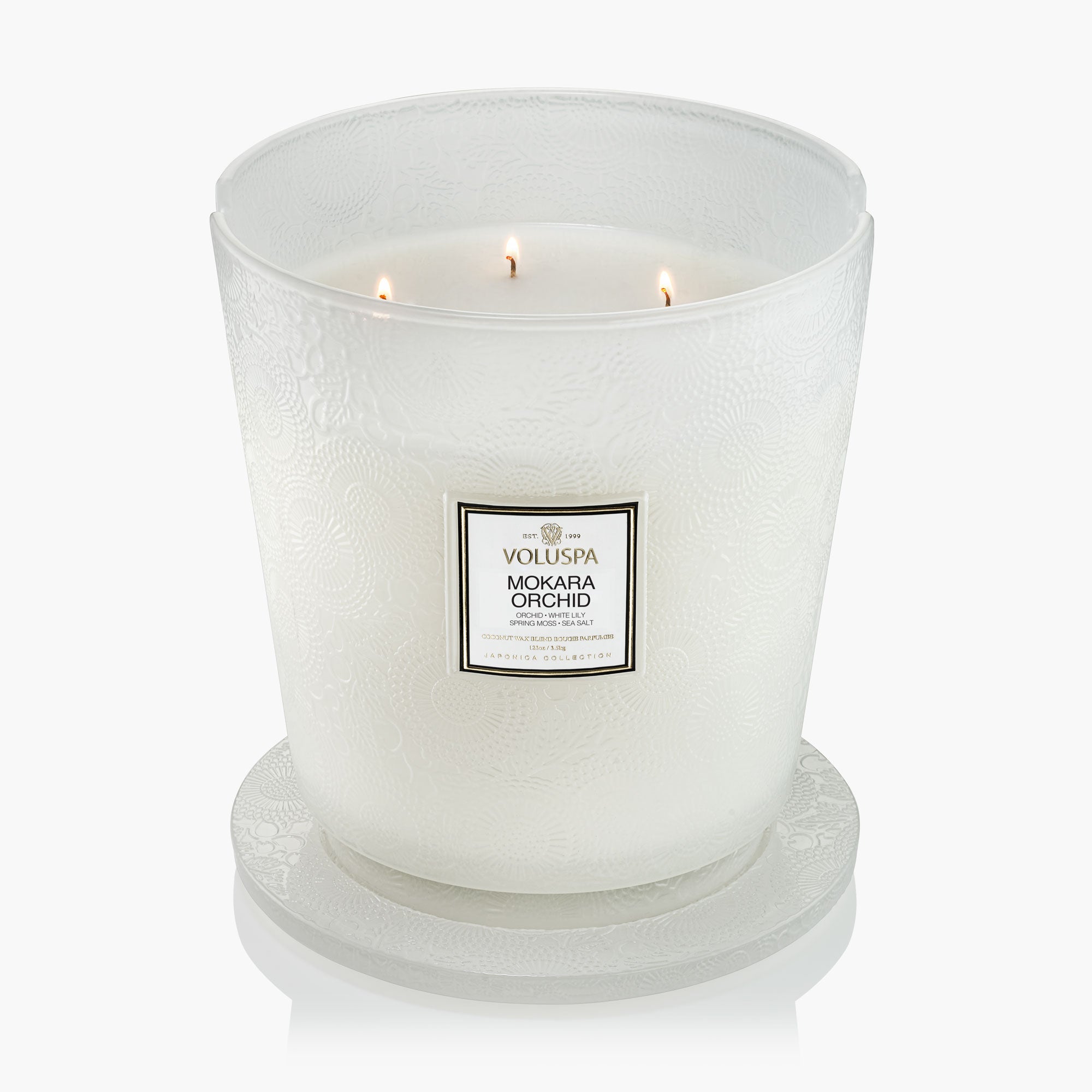 Mokara Orchid - 5 Wick Hearth Candle - Image 2