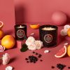 Pink Citron Grapefruit - Classic Candle - Image 3