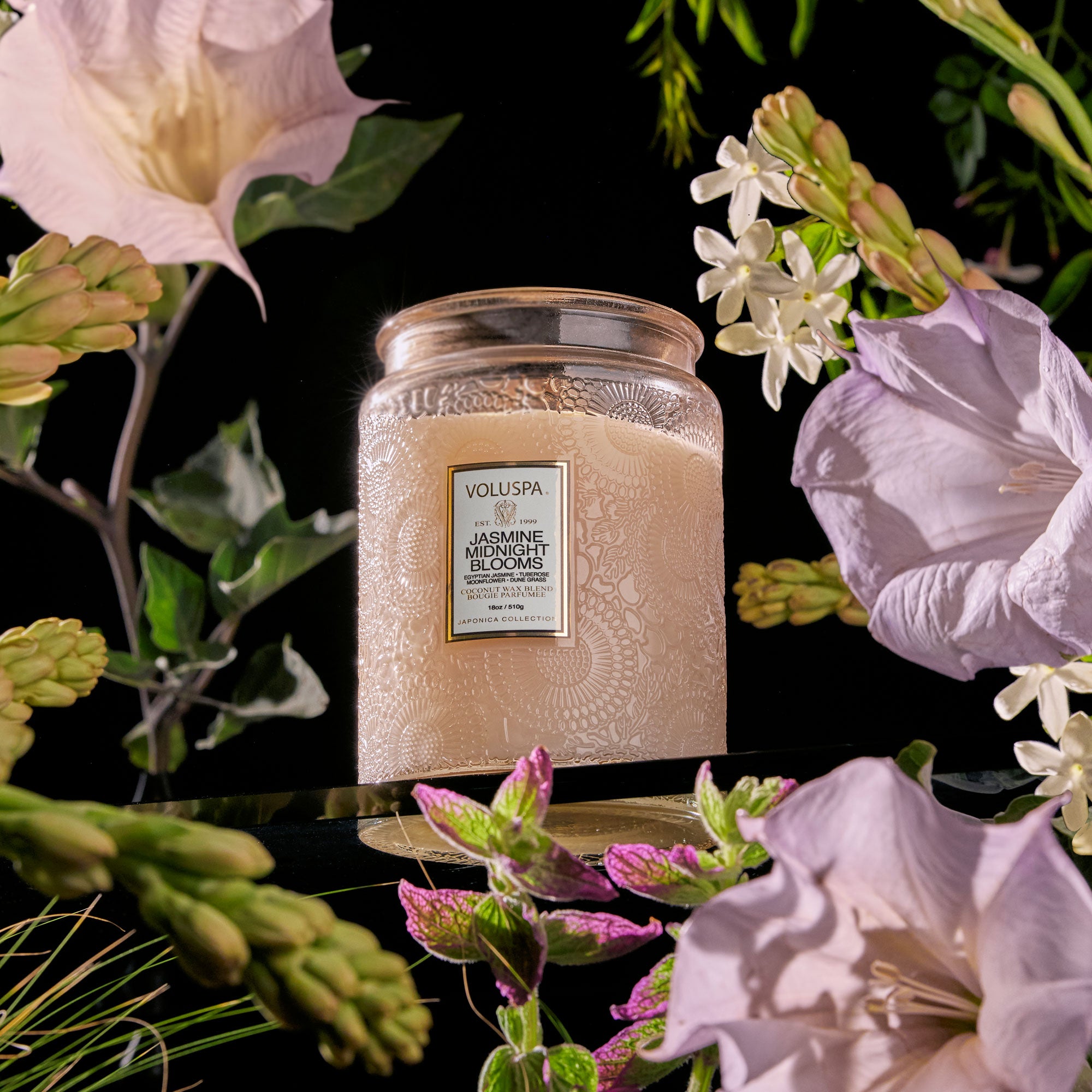 Jasmine Midnight Blooms - Large Jar Candle - Image 3