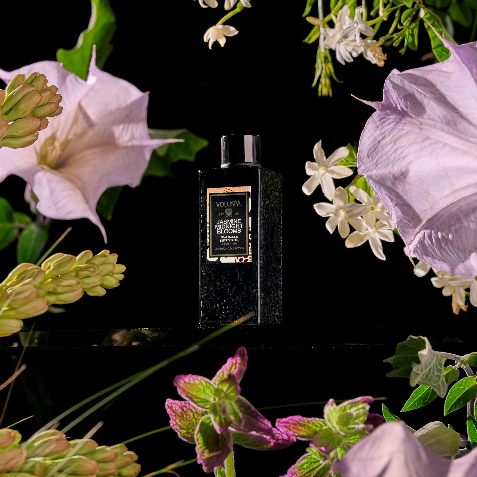 Alternative view of Jasmine Midnight Blooms - Ultrasonic Diffuser Fragrance Oil