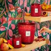 Goji Tarocco Orange - 5 Wick Hearth Candle - Image 2