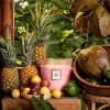 Nāpali Passion Fruit - 5 Wick Hearth Candle - Image 3