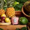 Nāpali Passion Fruit - Classic Candle Refill - Image 2