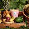Nāpali Passion Fruit - 3 Wick Hearth Candle - Image 3