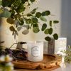 Mountain Lavender & Chamomile - Classic Candle - Image 3