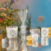 Wildflowers - Petite Jar Candle - Image 4