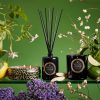 Jardin De Verveine - 3 Wick Tin Candle - Image 3