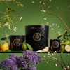 Jardin De Verveine - 5 Wick Hearth Candle - Image 3