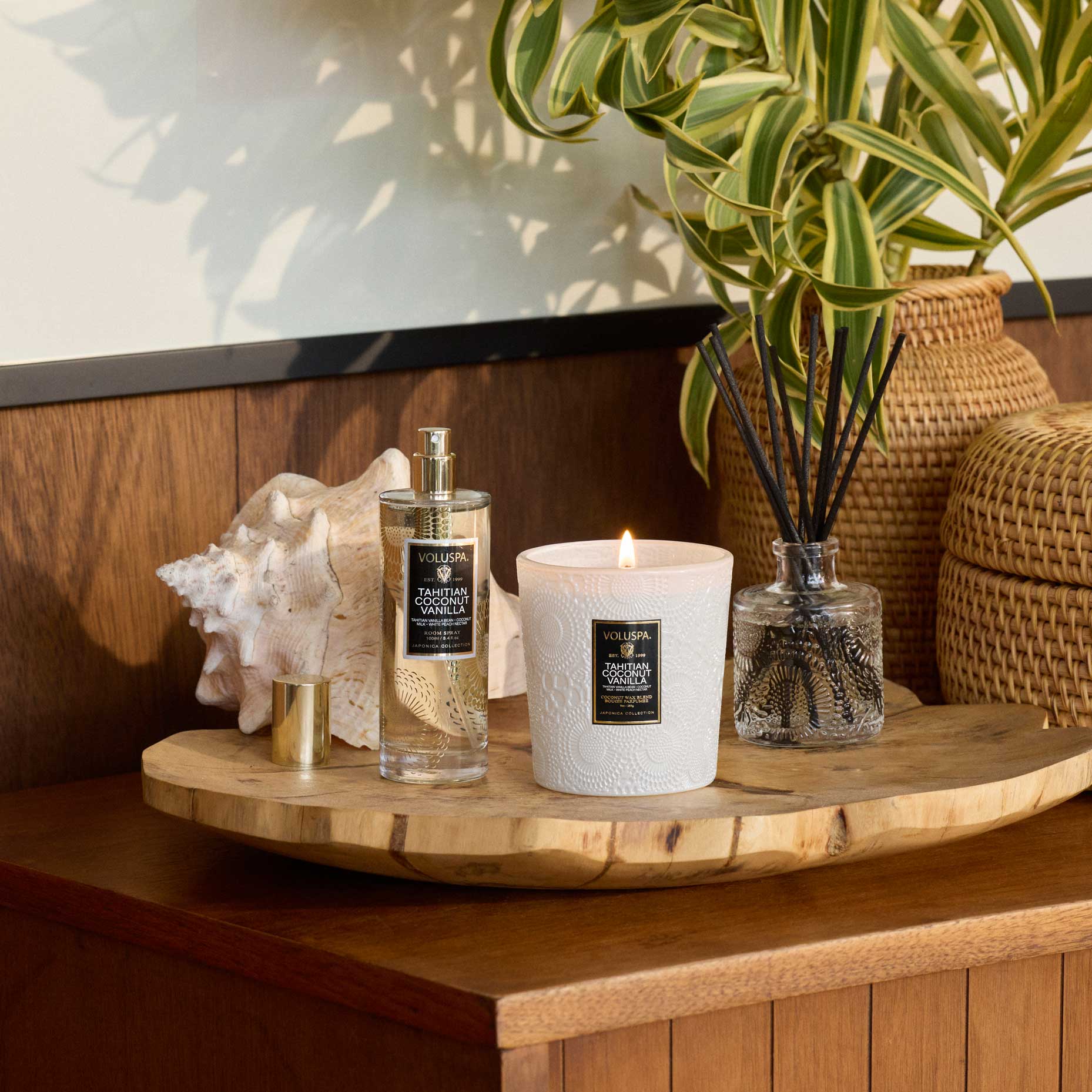 Alternative view of Tahitian Coconut Vanilla - Reed Diffuser