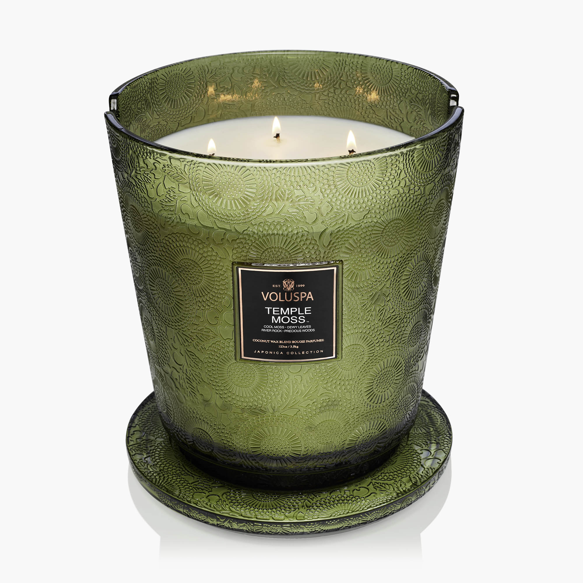 Temple Moss - 5 Wick Hearth Candle - Image 4