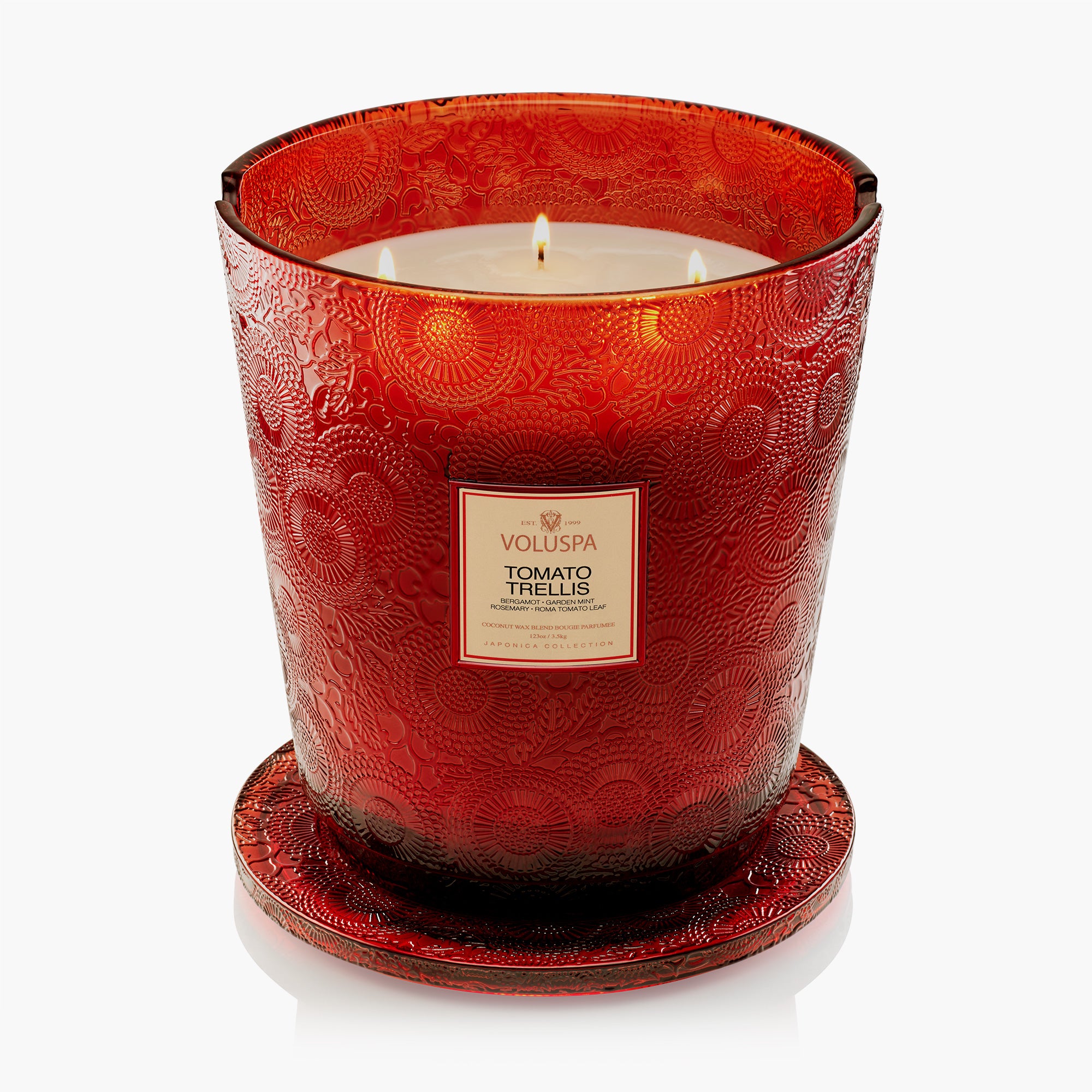 Tomato Trellis - 5 Wick Hearth Candle - Image 5