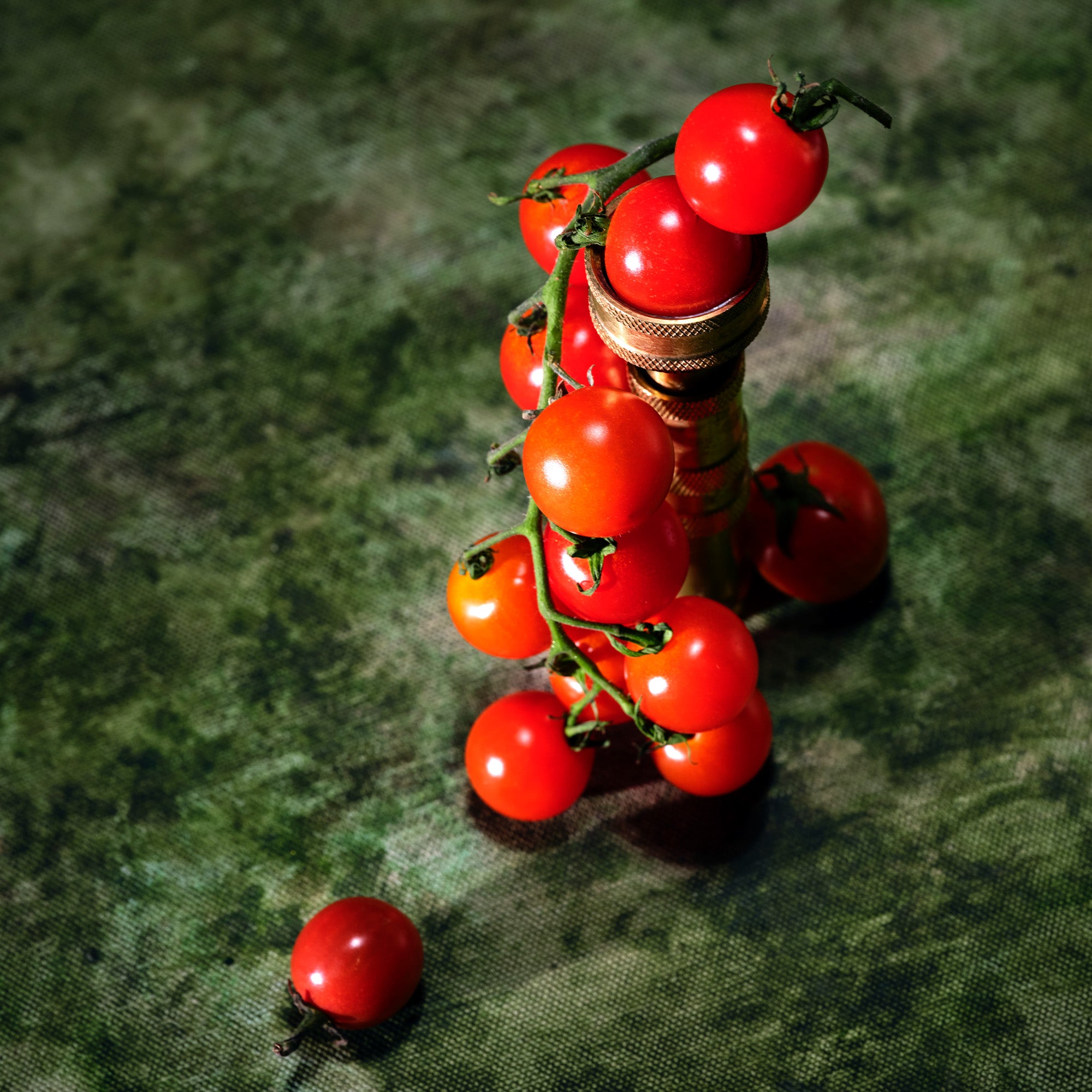Tomato Trellis - Mini Tin Candle - Image 4