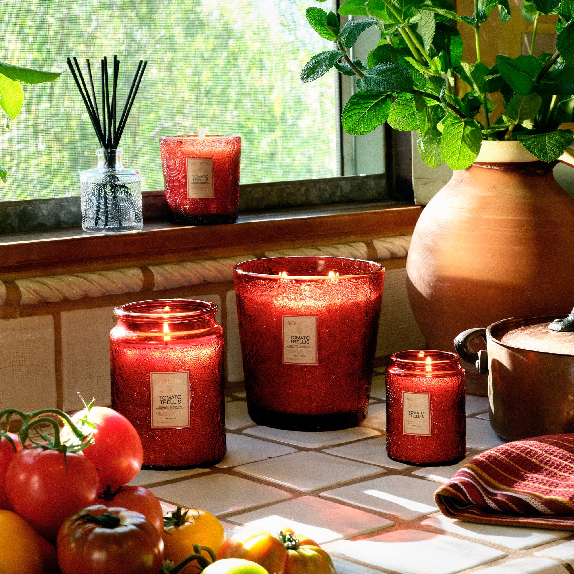 Tomato Trellis - 3 Wick Hearth Candle - Image 2