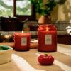 Tomato Trellis - Large Jar Candle - Image 3