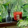 Tomato Trellis - Classic Candle - Image 2
